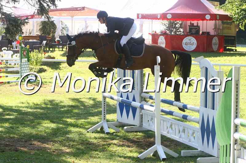 308M1154_Springpferde A.JPG